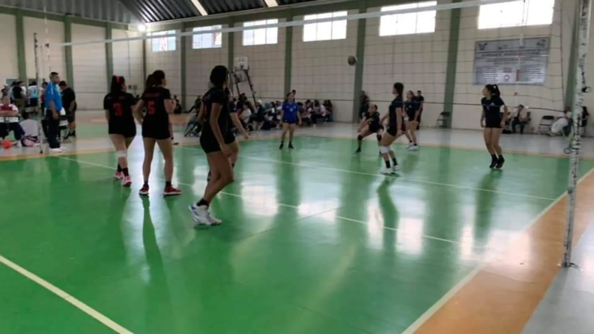 Voleibol (4)